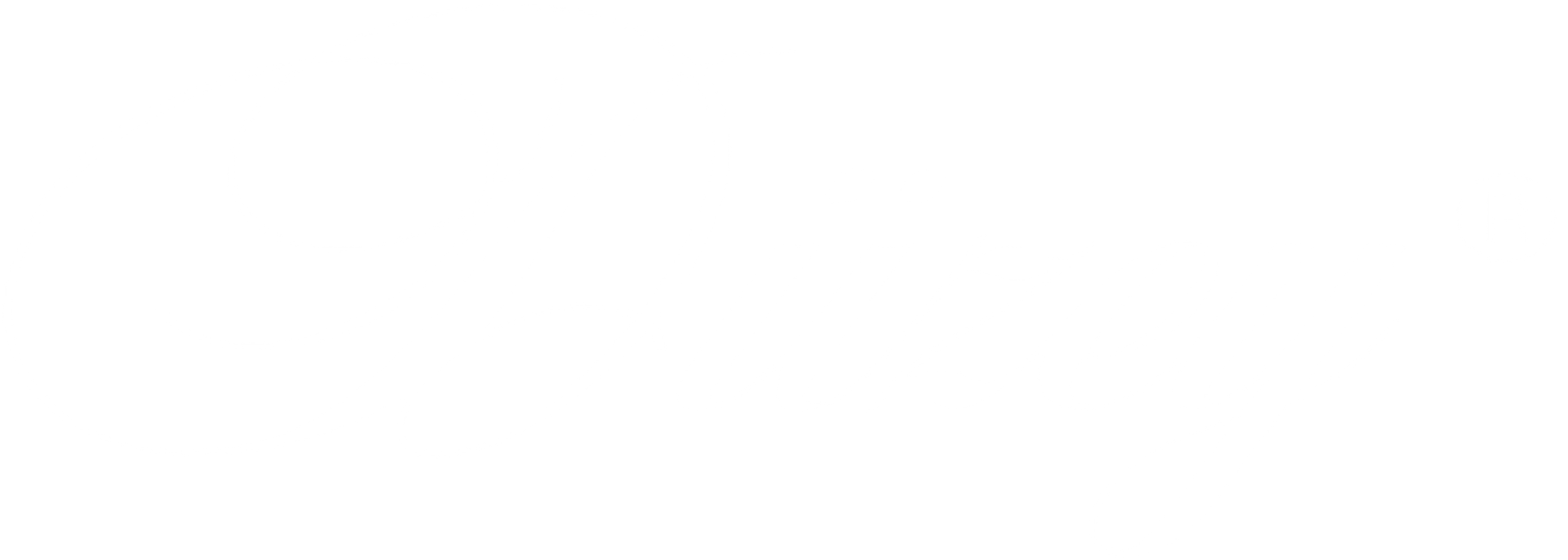 Düzey Logosu